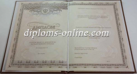 Интернатура